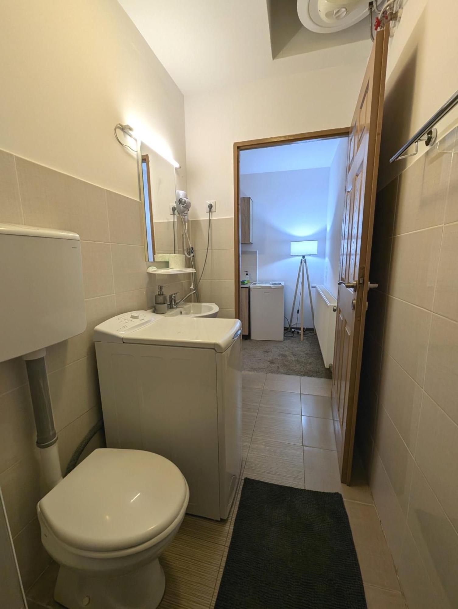 Sandor Central Studio Apartment Târgu-Mureş Extérieur photo