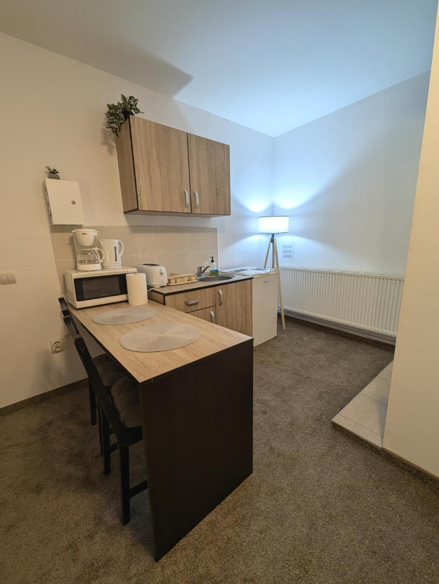 Sandor Central Studio Apartment Târgu-Mureş Extérieur photo